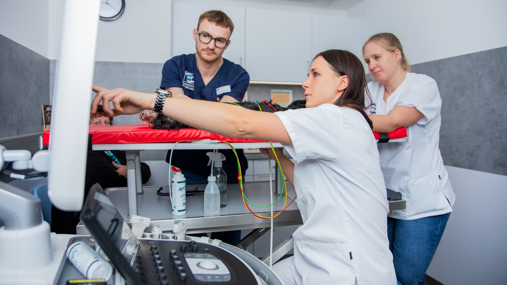 Kardiologie