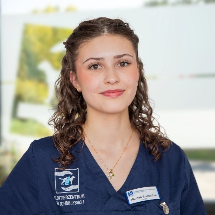 Hannah Rosenthal